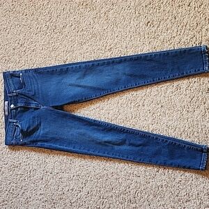 Joe's Jeans Skinny Jeans